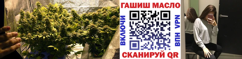 kraken ССЫЛКА  Кинешма  мориарти состав  ТГК концентрат 