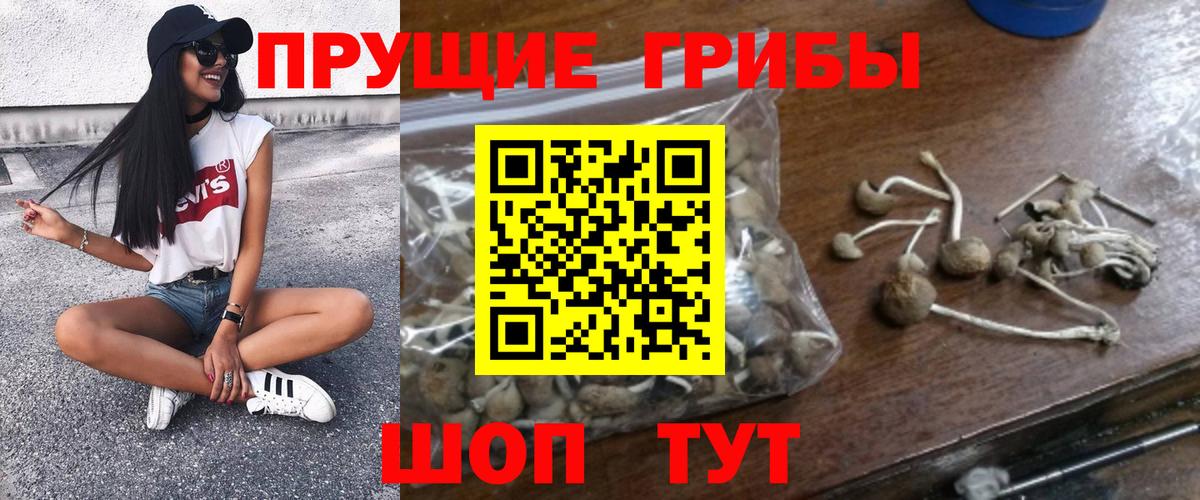 Псилоцибиновые грибы прущие грибы Кинешма