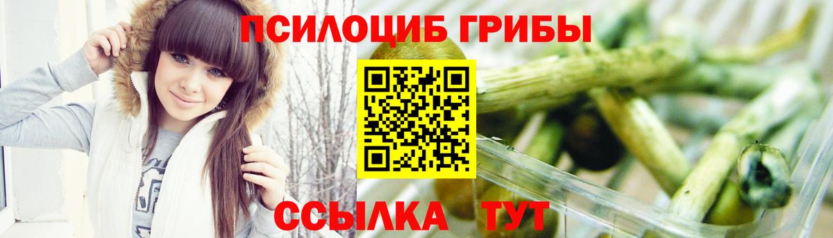 Галлюциногенные грибы MAGIC MUSHROOMS  дарнет шоп  Кинешма  Вход с VPN 