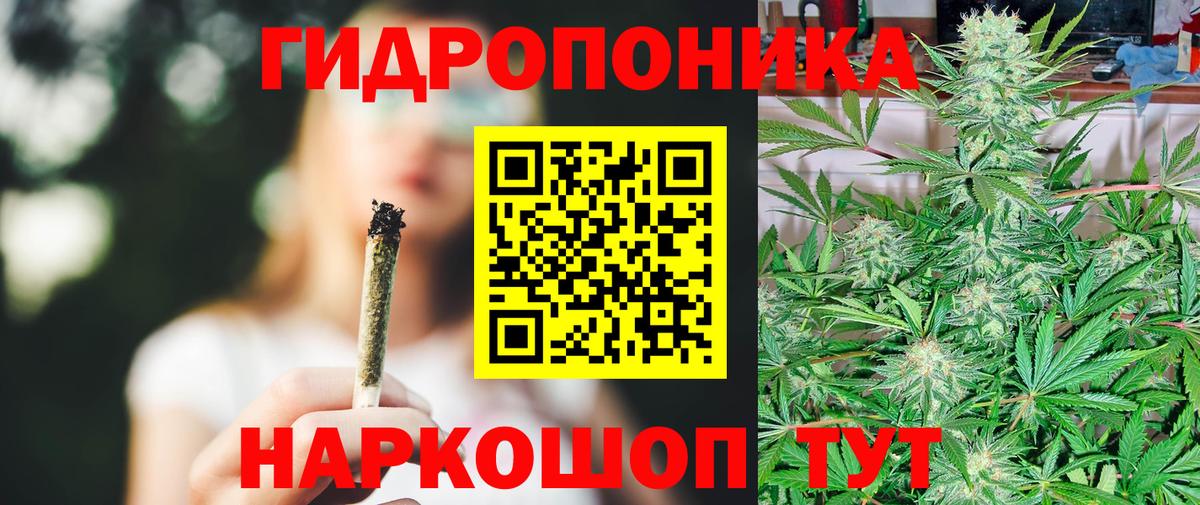 Марихуана конопля Кинешма
